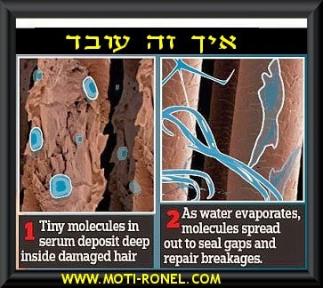 החלקת אינברטו